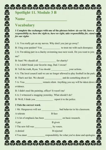 Spotlight 11. module 3b