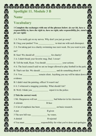 Spotlight 11. module 3b