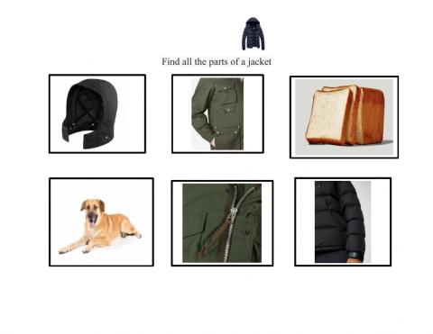 Find all parts of a jacket