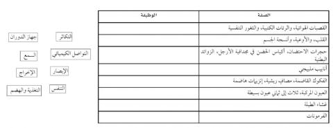 خصائص المفصليات