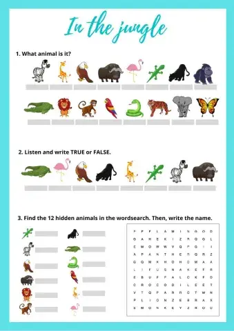 In the jungle (animals)