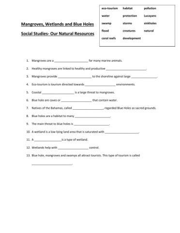 Mangroves, Wetlands and Blue Holes Social Studies- Our Natural Resources
