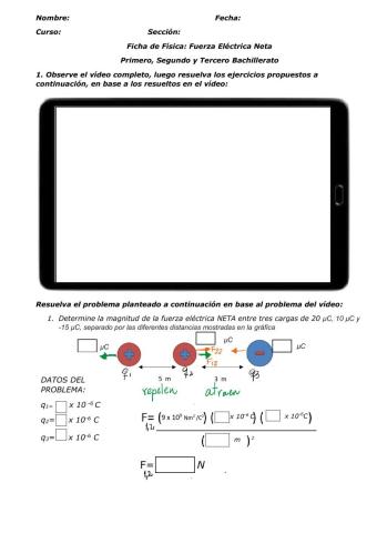 Fuerza eléctrica neta