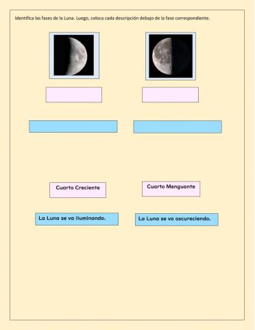 Identifica las fases de la luna