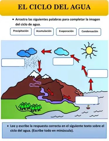 Ejercicio ciclo del agua