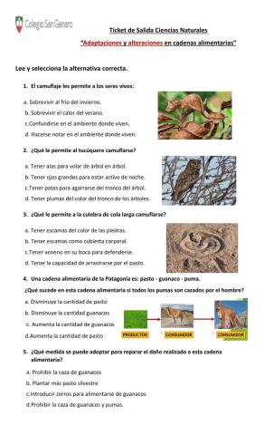 Ticket de salida camuflaje y alteraciones en cadenas alimentarias-