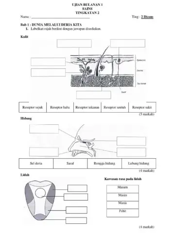 Sains Tingkatan 3 Lidah, Kulit, Hidung