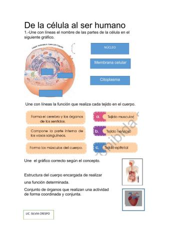 Células, tejidos y órganos