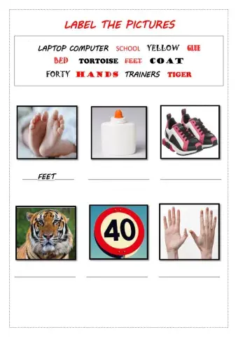 Label the Pictures