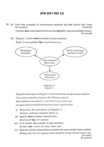 Soalan Sebenar SPM 2017 (Bahagian C: No 12)