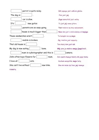 Possessive adjectives vs Possessive pronouns