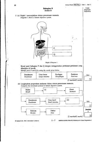 MODUL 1 - BAHAGIAN B