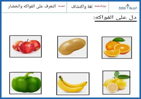 علوم اجتماعية