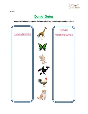 Haiwan Bertelur vs Haiwan Beranak