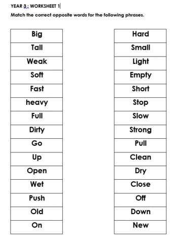 Opposite Words