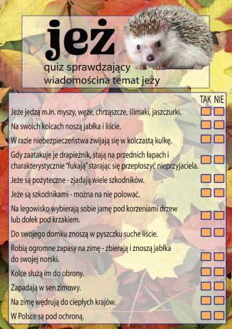 Jeż - quiz wiedzy