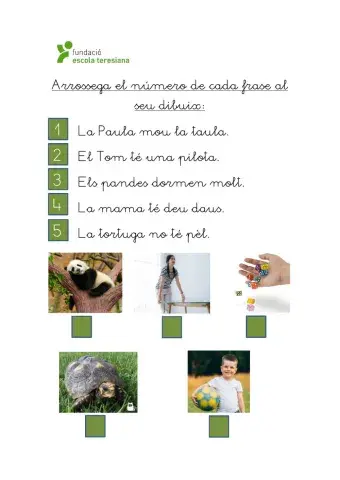 Repàs frases lletres S, T i D