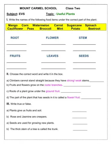 EVS: Plants & Animals