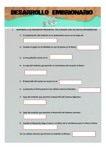 Desarrollo Embrionario
