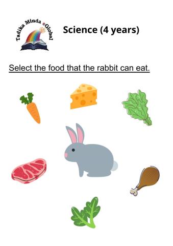 4 Years: Science Set 8 Page 1