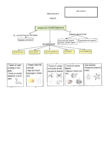 Clasificación de seres vivos