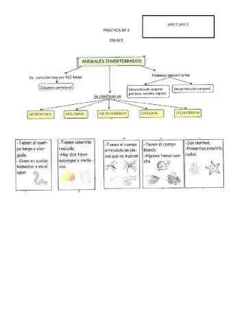 Clasificación de seres vivos