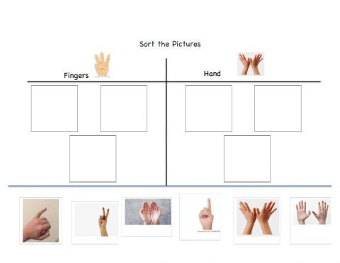 Sorting fingers and hands