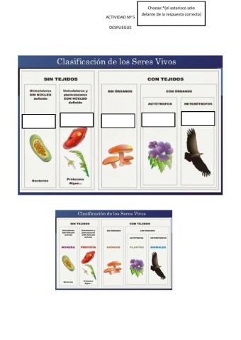 Clasificación de los seres vivos