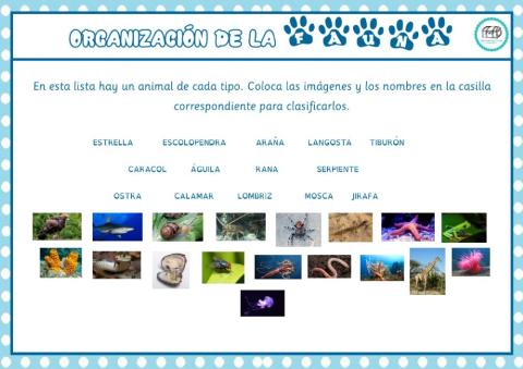 Clave dicotómica-clasificación de animales