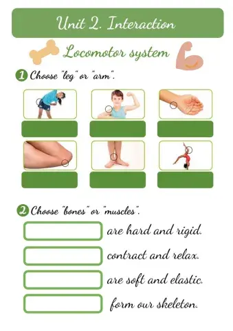 Unit 2. locomotor system