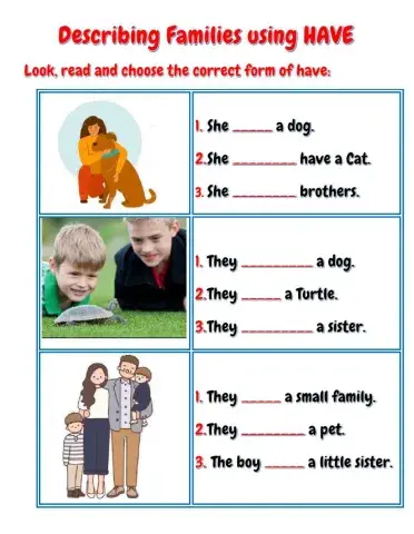 Describing My Family using HAVE