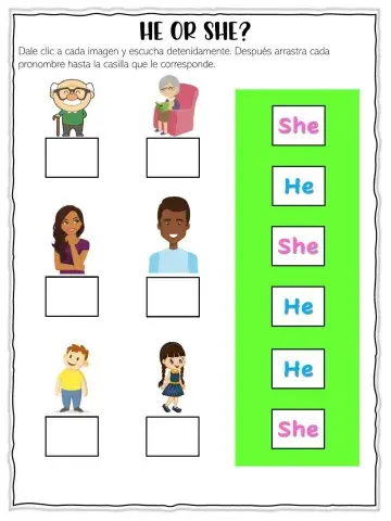 Pronouns He or She?