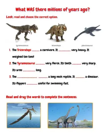 What WAS there millions of years ago?