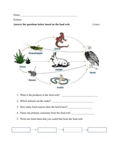 Food web