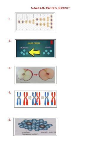 Namakan proses (sains T4)