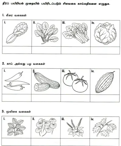 நீர்ப் பயிரியல் வளர்ப்பு முறை