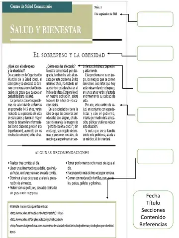 Elementos de un boletín informativo