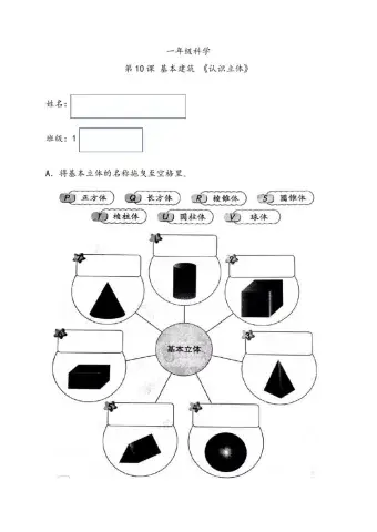 一年级科学（基本立体）