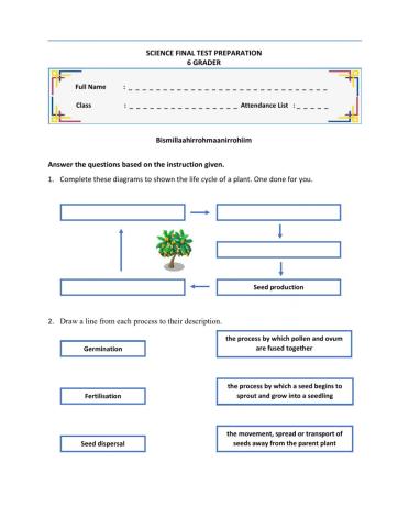Science Final Exercise 6 Grader