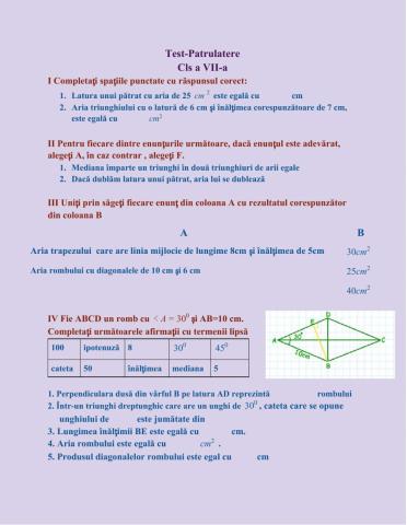 Test 1- Patrulatere cls a VII-a 