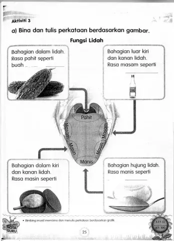 Fungsi lidah