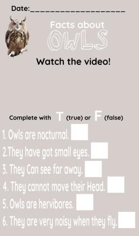 Owls facts