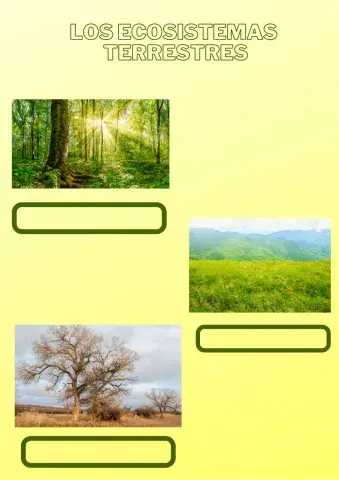 Ecosistema terrestre