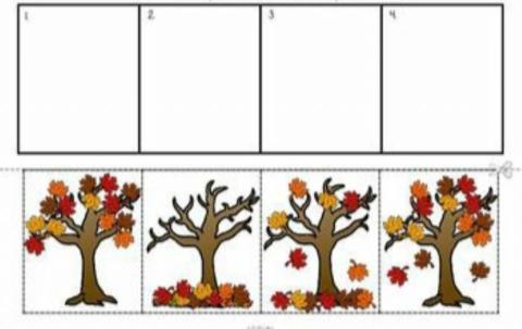 Toamna - Ordonati ce se intampla cu copacul taomna