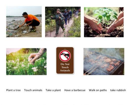 Respecting Plants and Animals