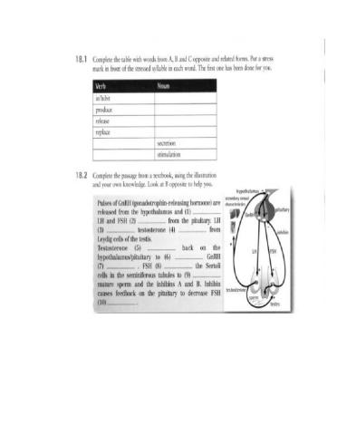 Endocrine System vocabulary worksheet