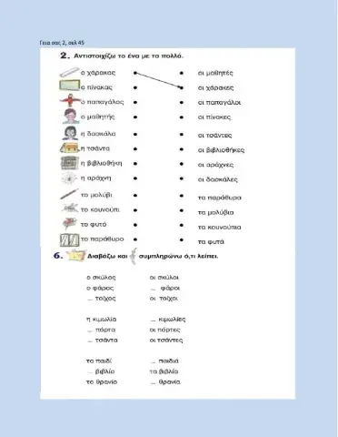 ΓΣ2. σελ 45 (εν-πληθ) η τάξη-η τσάντα
