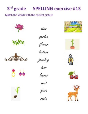 Spelling matching practice