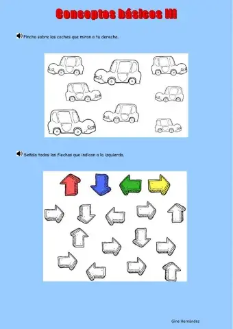 Conceptos básicos III