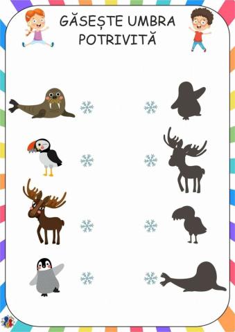 Găsește umbra potrivită!